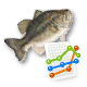 養殖魚種放養量查報累計表